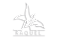 Bronze Sculptures Gallery by Raquel Barba ARTIST ::: SCULPTURE GALLERY :::